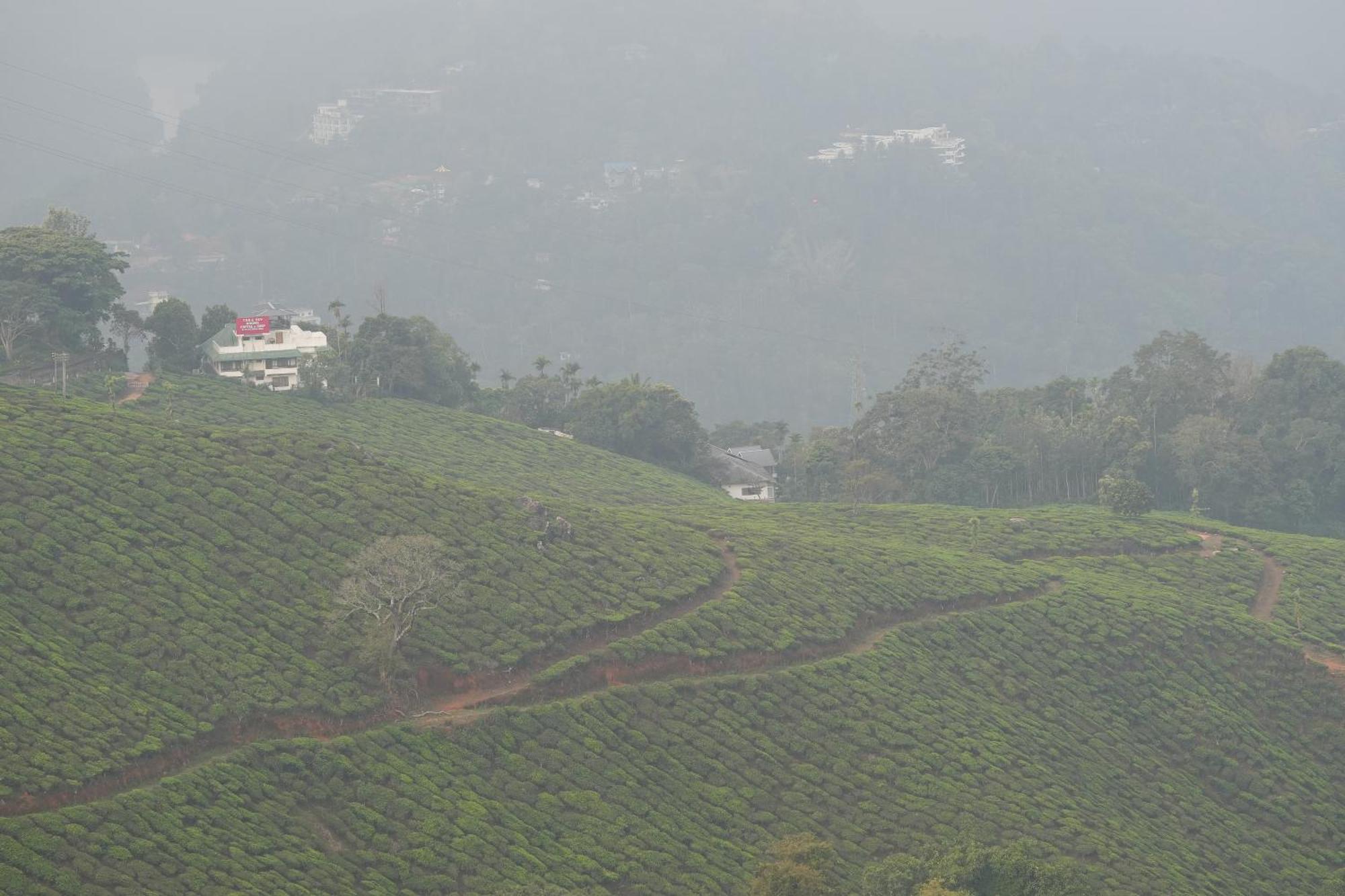 Misty Bush Munnar Exterior foto