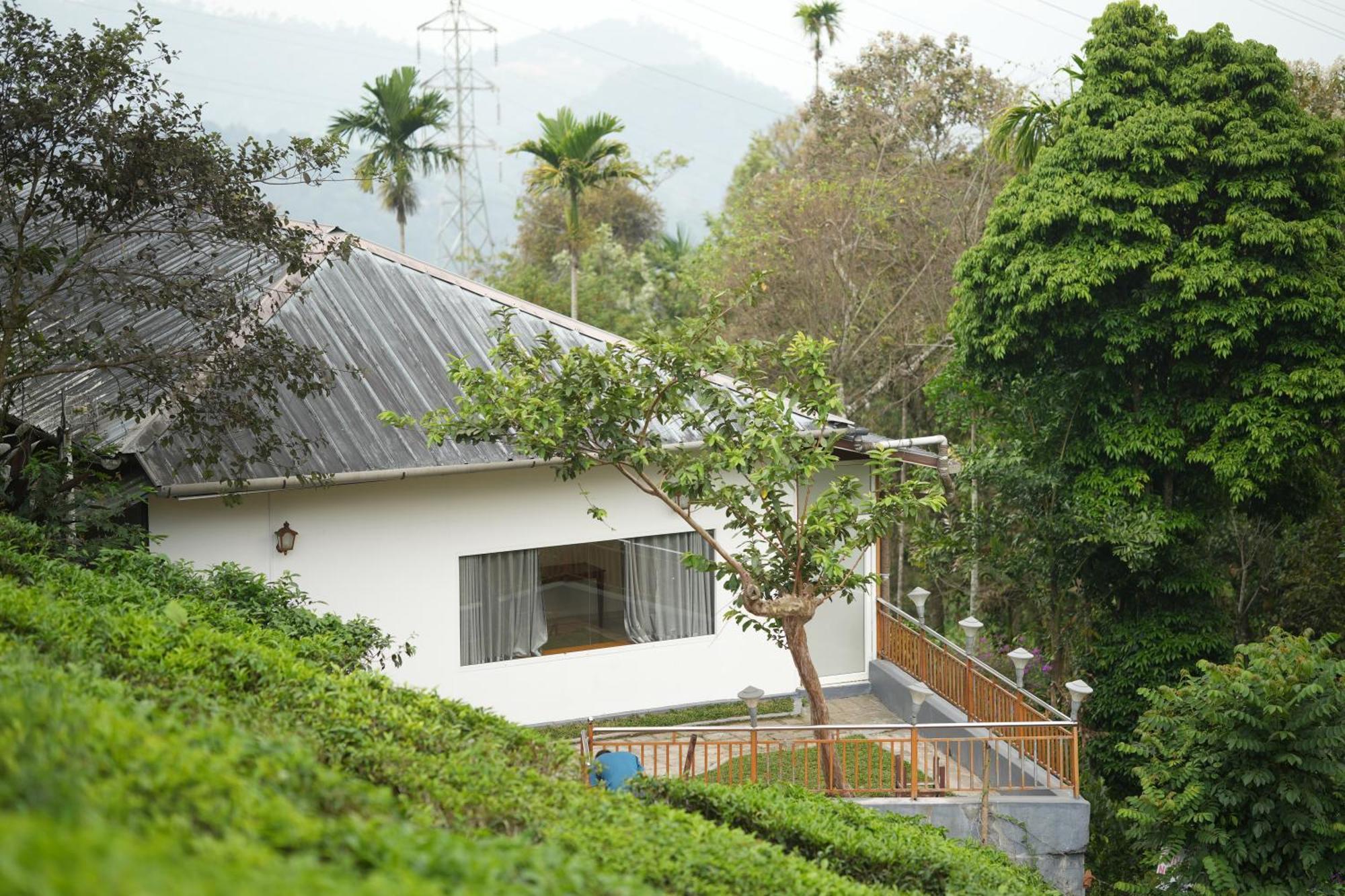 Misty Bush Munnar Exterior foto